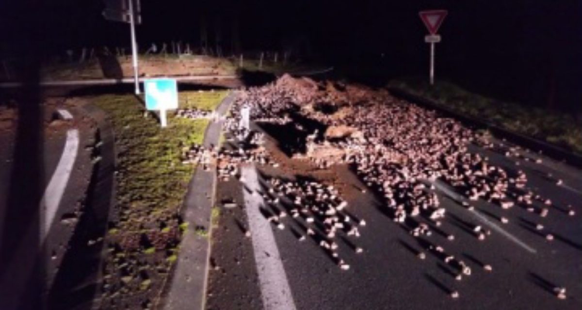 Colère des agriculteurs : la gendarmerie dénonce des dépôts de terre sauvages