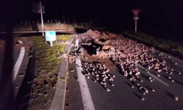 Colère des agriculteurs : la gendarmerie dénonce des dépôts de terre sauvages