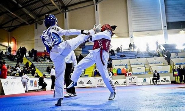 Niort : le taekwondo à la rescousse des proviseurs