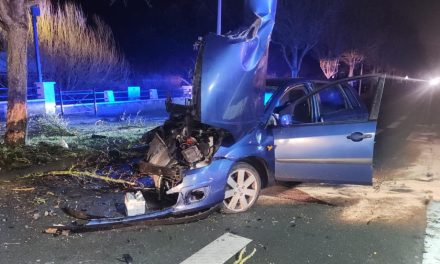 La voiture heurte un arbre : deux blessés dans les Deux-Sèvres