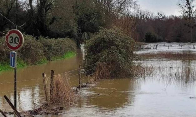 [PHOTOS] La Sèvre Niortaise déborde