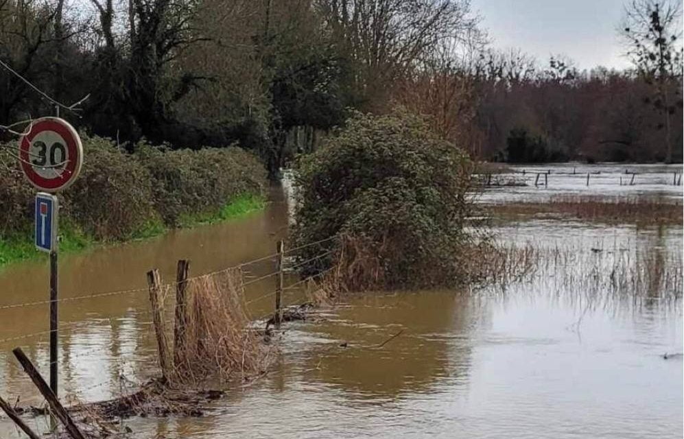 [PHOTOS] La Sèvre Niortaise déborde