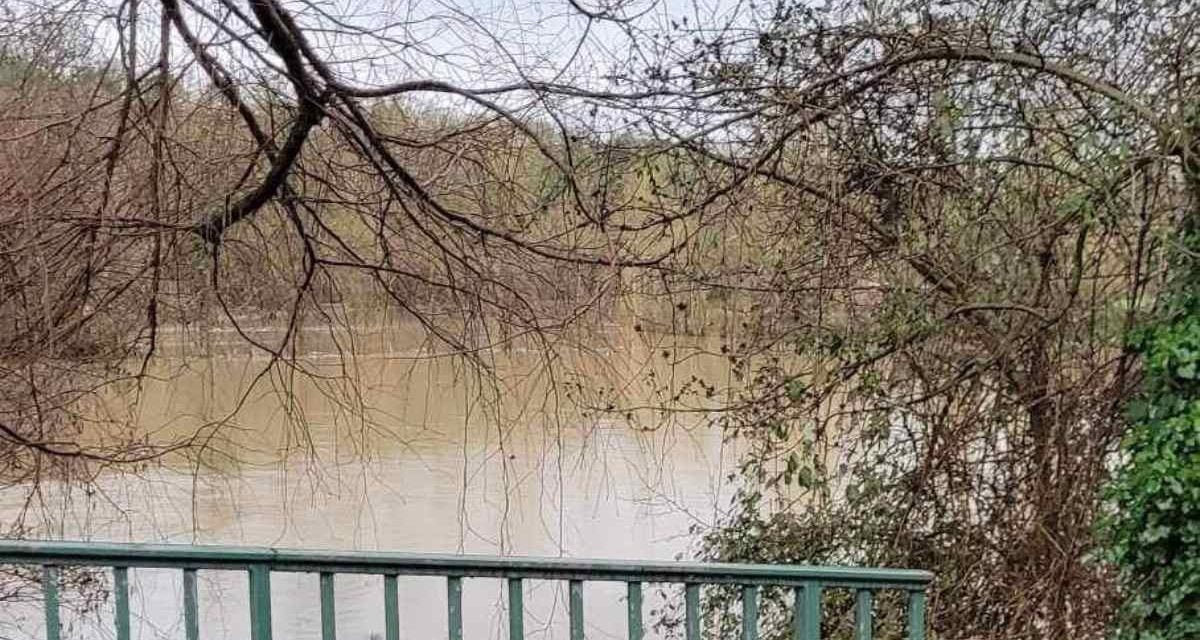 [PHOTOS] La Sèvre Niortaise déborde