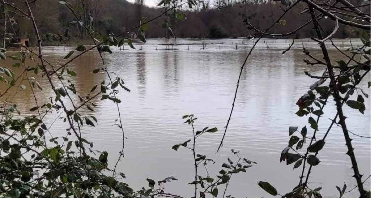 [PHOTOS] La Sèvre Niortaise déborde