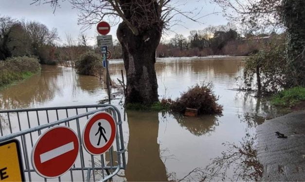 [PHOTOS] La Sèvre Niortaise déborde