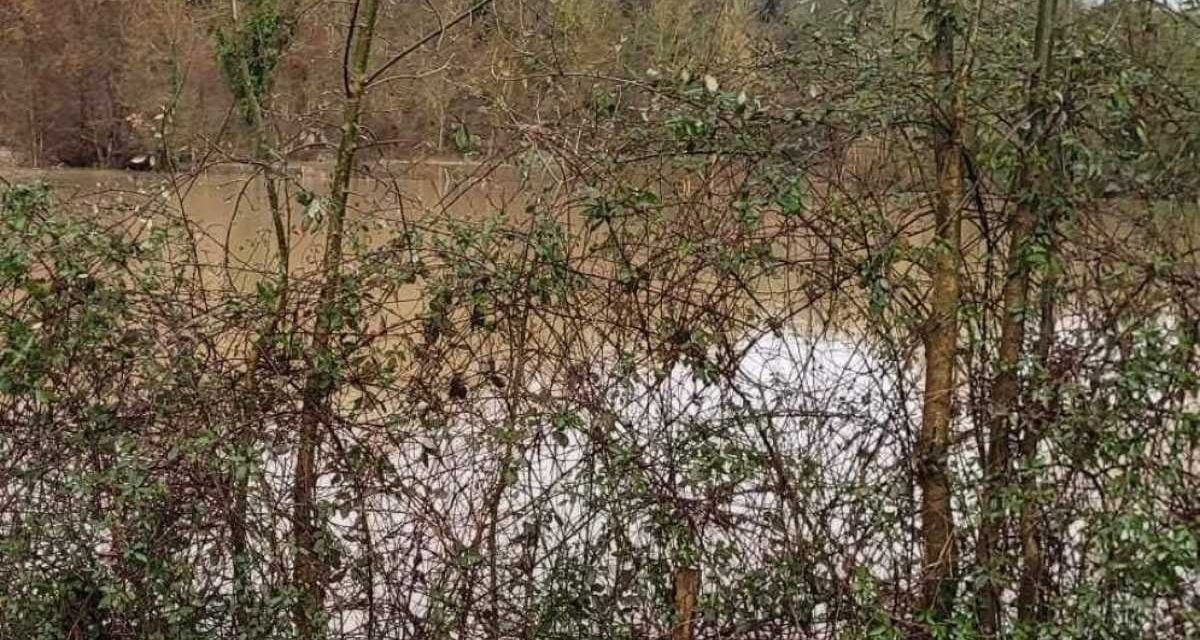 [PHOTOS] La Sèvre Niortaise déborde