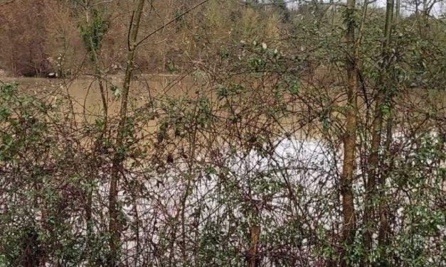 [PHOTOS] La Sèvre Niortaise déborde