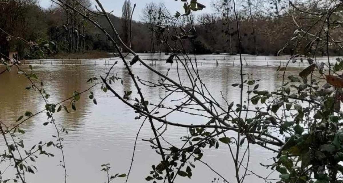 [PHOTOS] La Sèvre Niortaise déborde