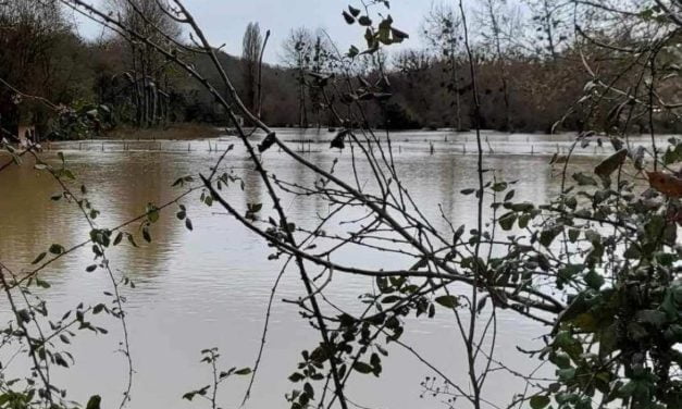 [PHOTOS] La Sèvre Niortaise déborde