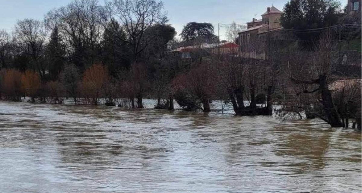 [PHOTOS] La Sèvre Niortaise déborde