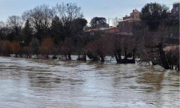 [PHOTOS] La Sèvre Niortaise déborde