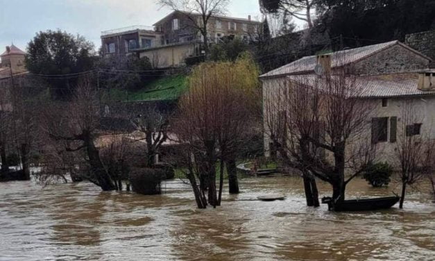 [PHOTOS] La Sèvre Niortaise déborde