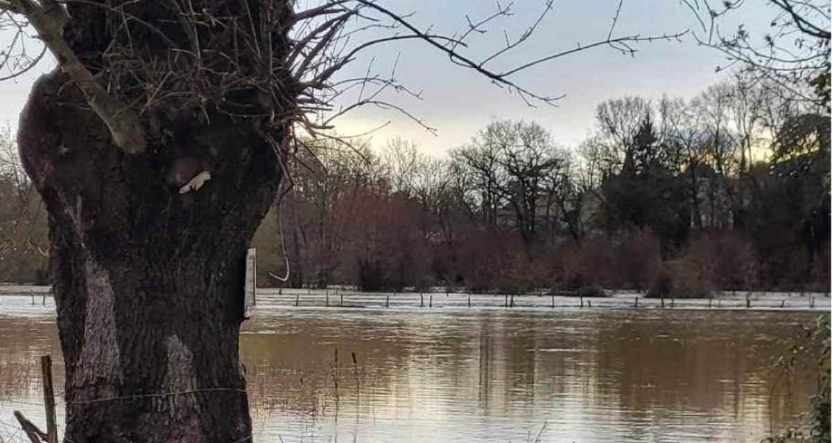 [PHOTOS] La Sèvre Niortaise déborde