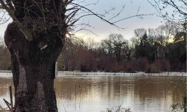 [PHOTOS] La Sèvre Niortaise déborde