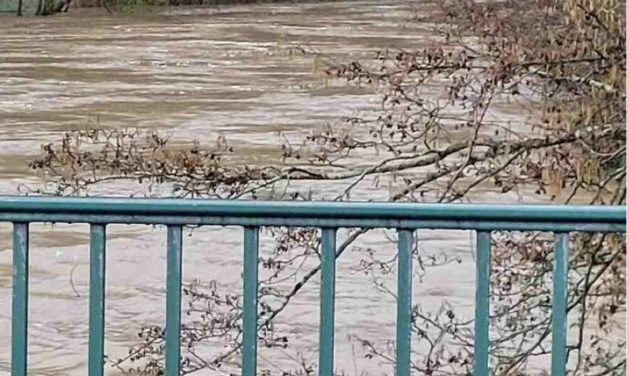 [PHOTOS] La Sèvre Niortaise déborde