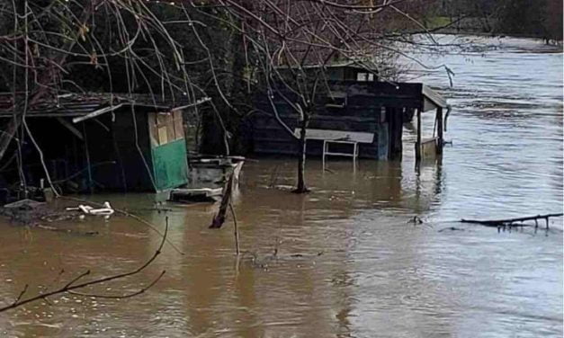 [PHOTOS] La Sèvre Niortaise déborde