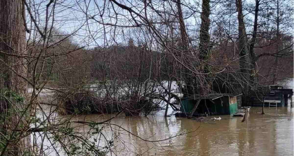 [PHOTOS] La Sèvre Niortaise déborde