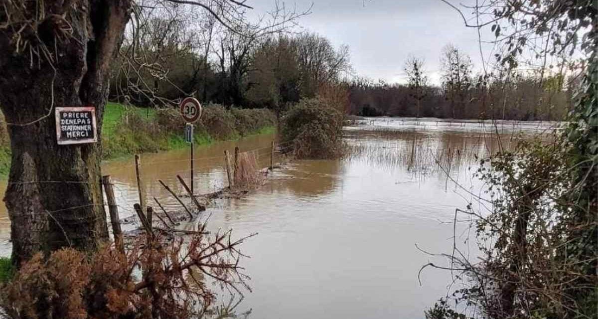 [PHOTOS] La Sèvre Niortaise déborde