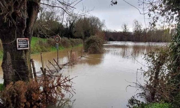 [PHOTOS] La Sèvre Niortaise déborde