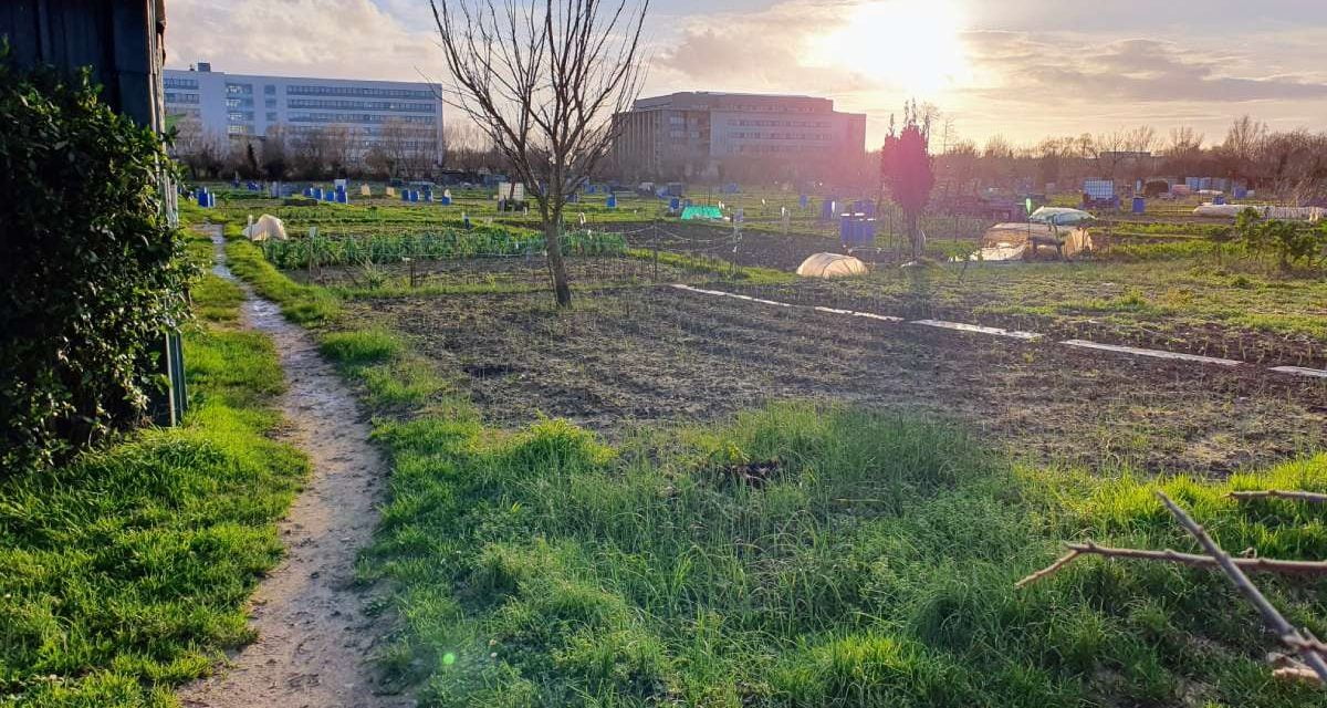 Niort : le programme complet des Ateliers jardin au naturel