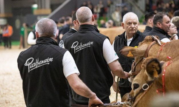 [PHOTOS] La parthenaise se fait belle à Paris