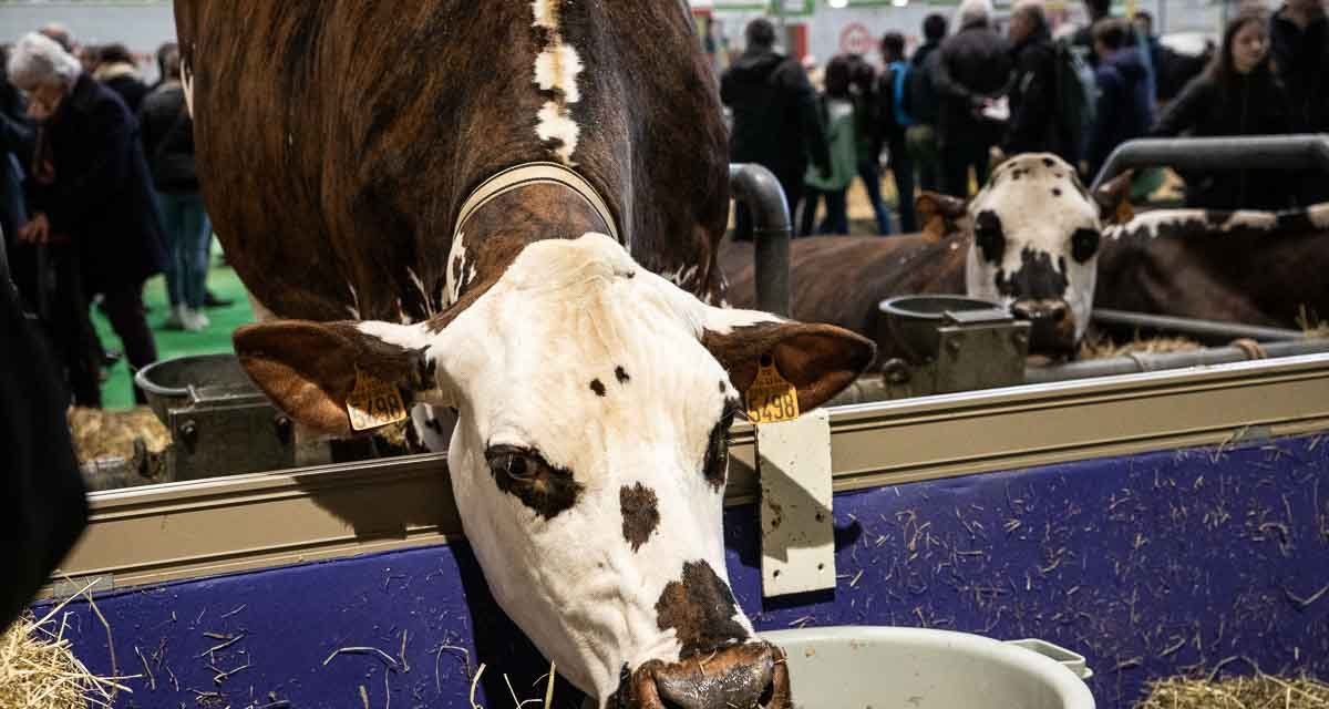 « On marche sur la tête » : la Confédération paysanne dénonce la concurrence entre production alimentaire et production énergétique