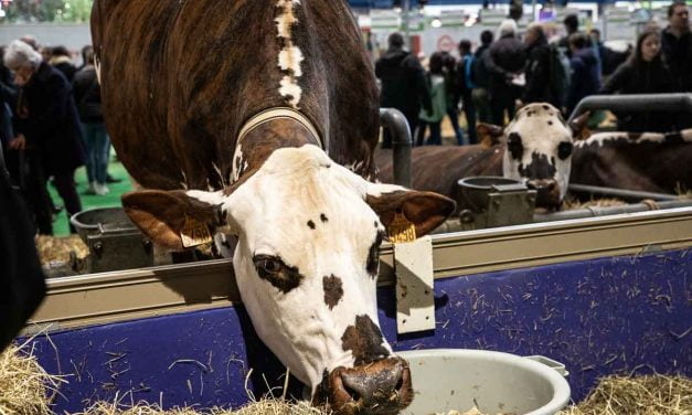 « On marche sur la tête » : la Confédération paysanne dénonce la concurrence entre production alimentaire et production énergétique