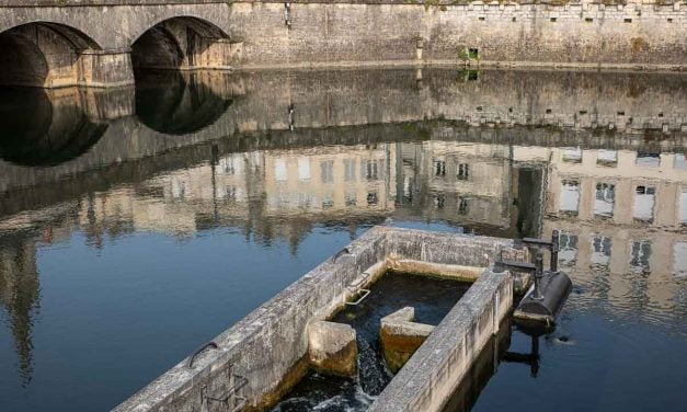 Niort. Un adolescent en urgence relative après une noyade