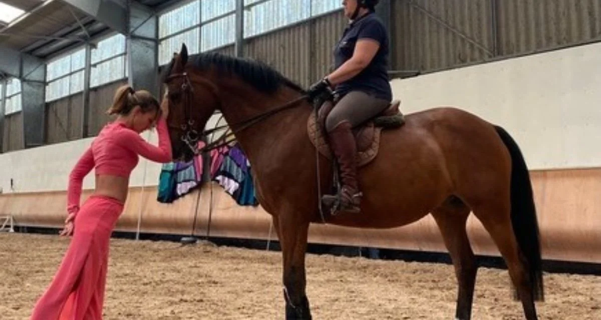 Un spectacle hippique solidaire à Niort