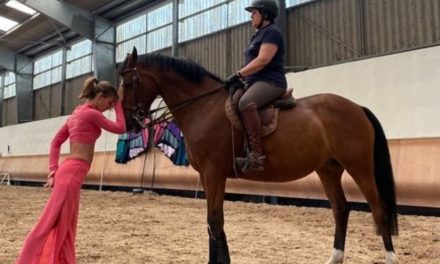 Un spectacle hippique solidaire à Niort