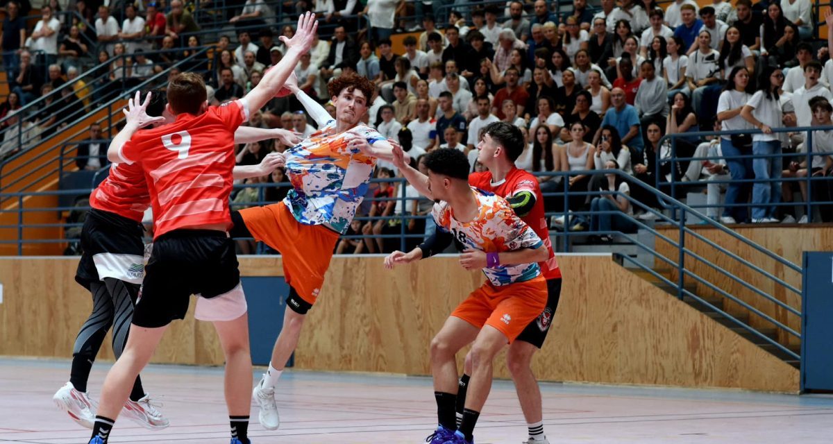 Le handball dans tous ses états à Niort