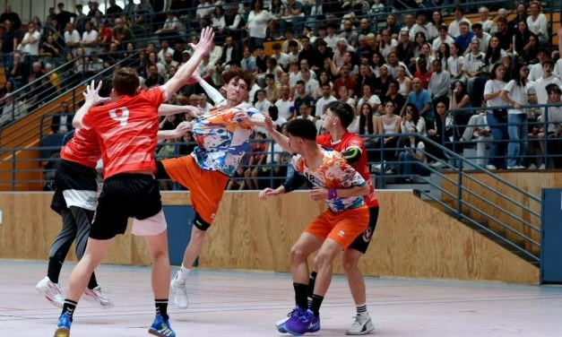 Le handball dans tous ses états à Niort