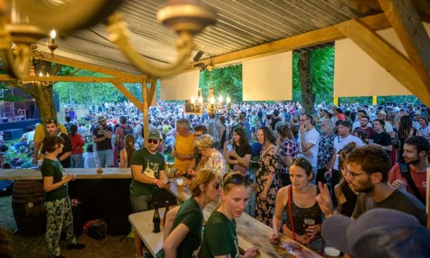 [PHOTOS] Une affluence record à Niort Jazz Festival