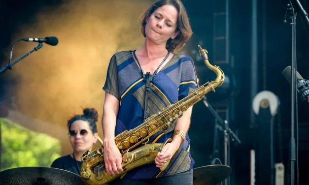 [PHOTOS] Une affluence record à Niort Jazz Festival