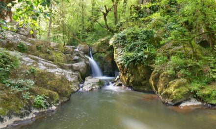 Deux-Sèvres : des sorties nature au cœur des espaces naturels sensibles