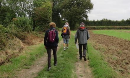 Une randonnée solidaire près de Niort dimanche 29 septembre