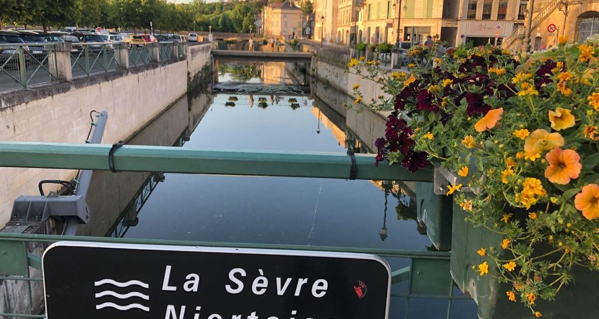 A Niort, des visites guidées assurées par des artistes