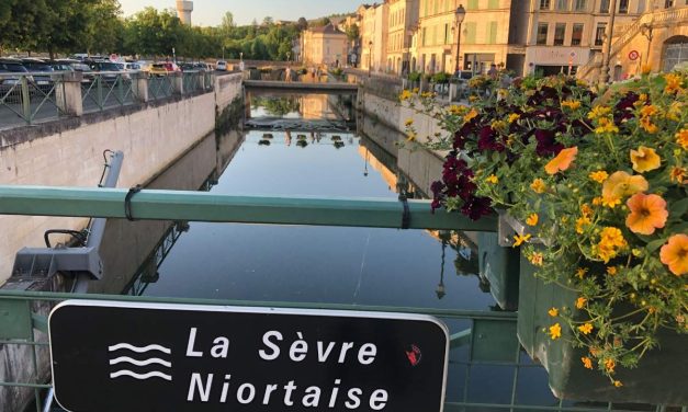A Niort, des visites guidées assurées par des artistes