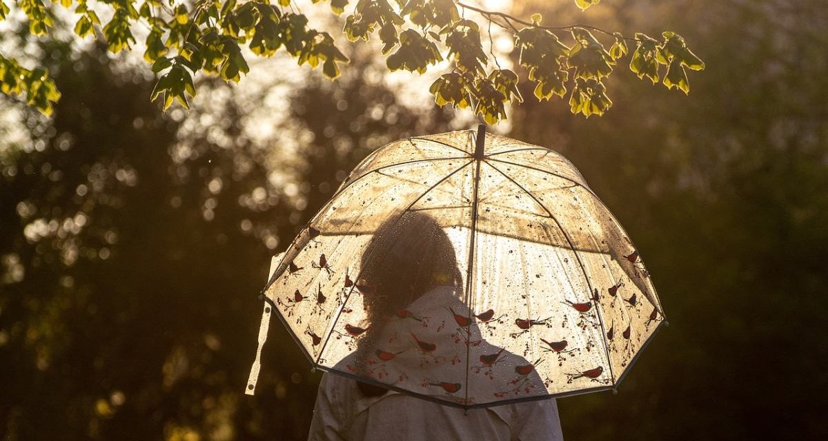 Niort : la pluie rend les terrains de sports impraticables