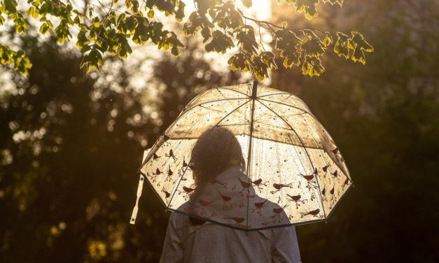 Niort : la pluie rend les terrains de sports impraticables