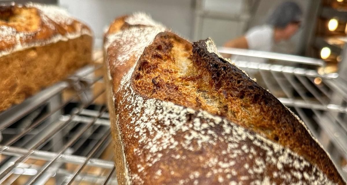 Le Pain des Sauniers inaugure son point de vente au fournil de Chauray