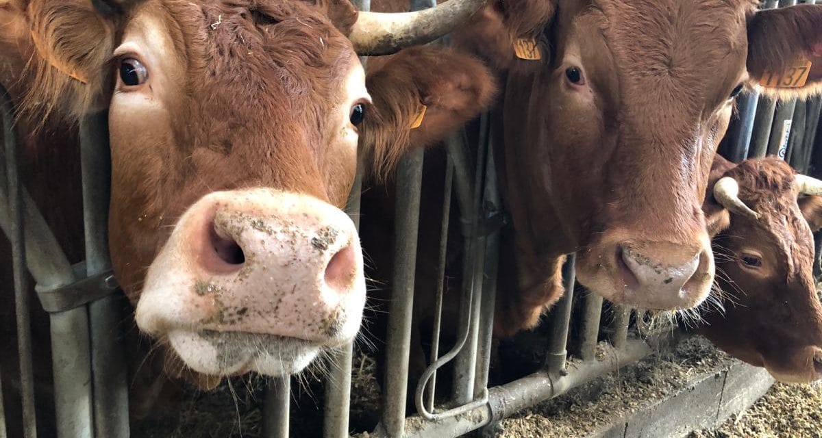 Salon à la Ferme en Deux-Sèvres : deux rendez-vous publics à l&rsquo;agenda