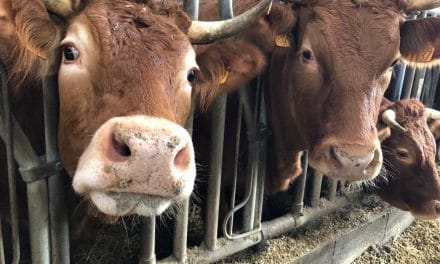 Salon à la Ferme en Deux-Sèvres : deux rendez-vous publics à l&rsquo;agenda