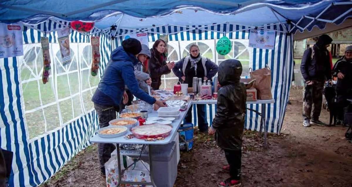 A Niort, chiens et chats ont aussi droit de fêter Noël