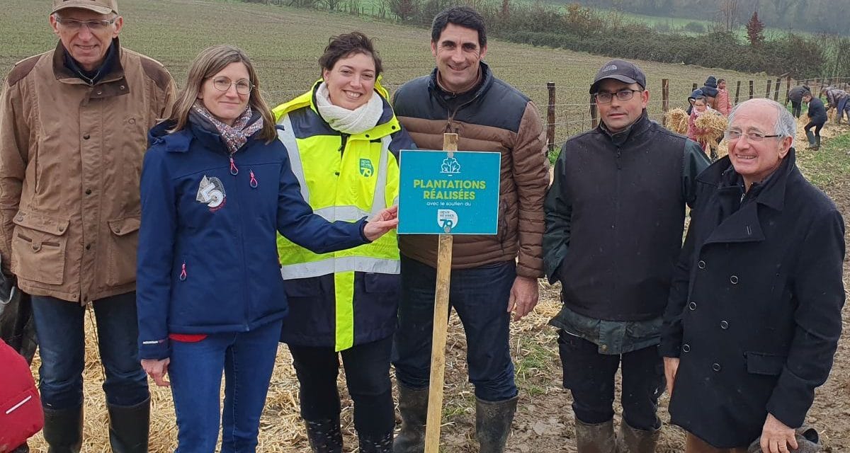 À Chanteloup, des haies pour un avenir durable : la ferme d’Étrie s’engage pour la biodiversité