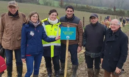 À Chanteloup, des haies pour un avenir durable : la ferme d’Étrie s’engage pour la biodiversité