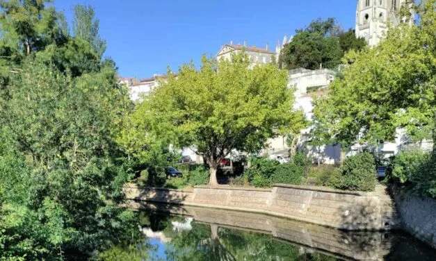 Fête de la nature à Niort : tout le programme