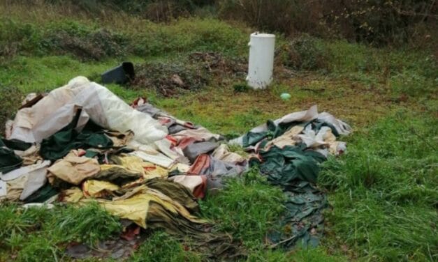 Deux-Sèvres Nature Environnement lance une action contre les dépôts sauvages