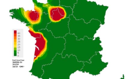 La varicelle s’invite sur les plages des vacances et dans les Deux-Sèvres