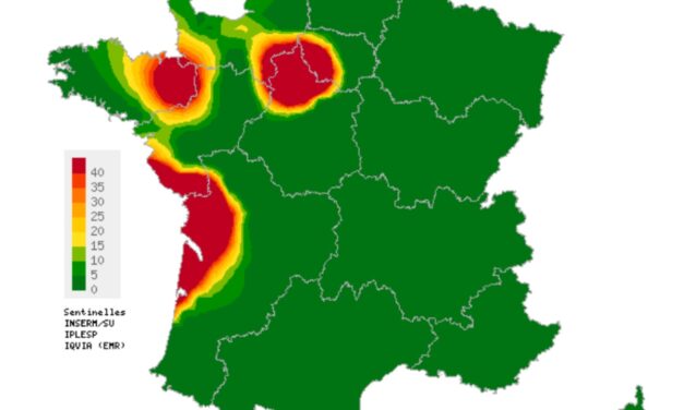 La varicelle s’invite sur les plages des vacances et dans les Deux-Sèvres